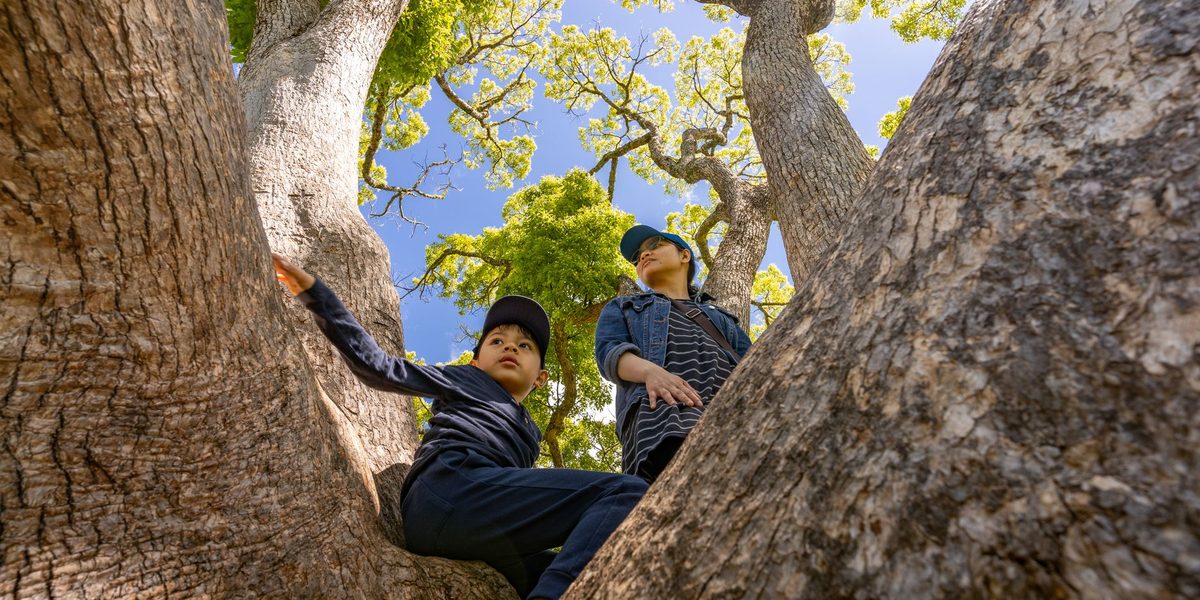 Raising Resilient Kids in an Overprotective Age